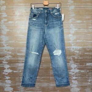 Anthropologie Pilcro NWT The Vintage Straight Distressed Jeans Womens 29